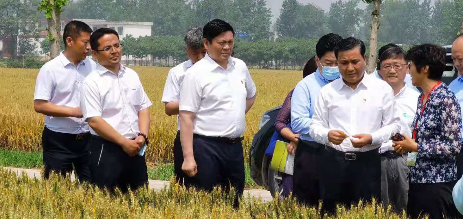 NG娱乐