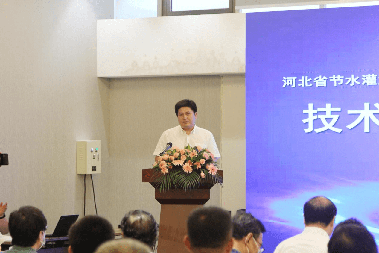 NG娱乐