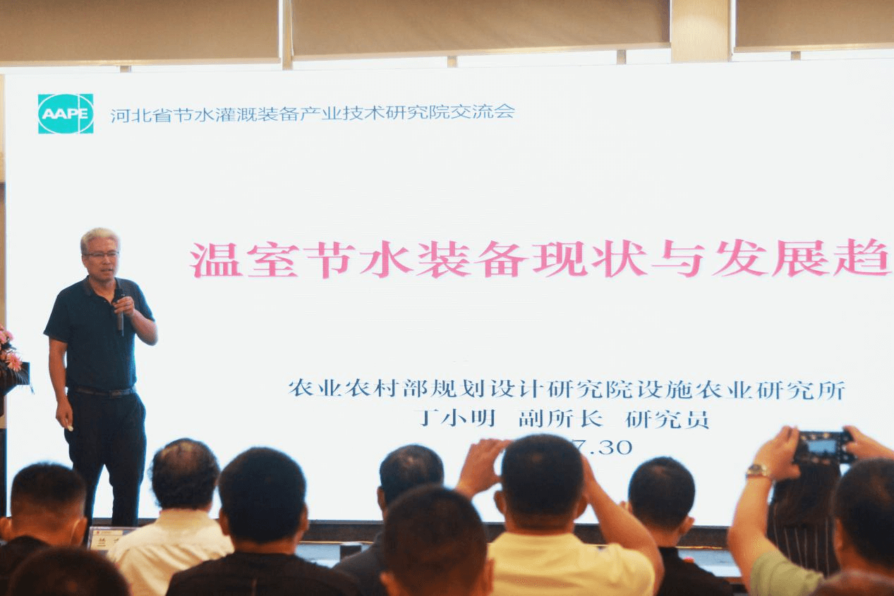 NG娱乐