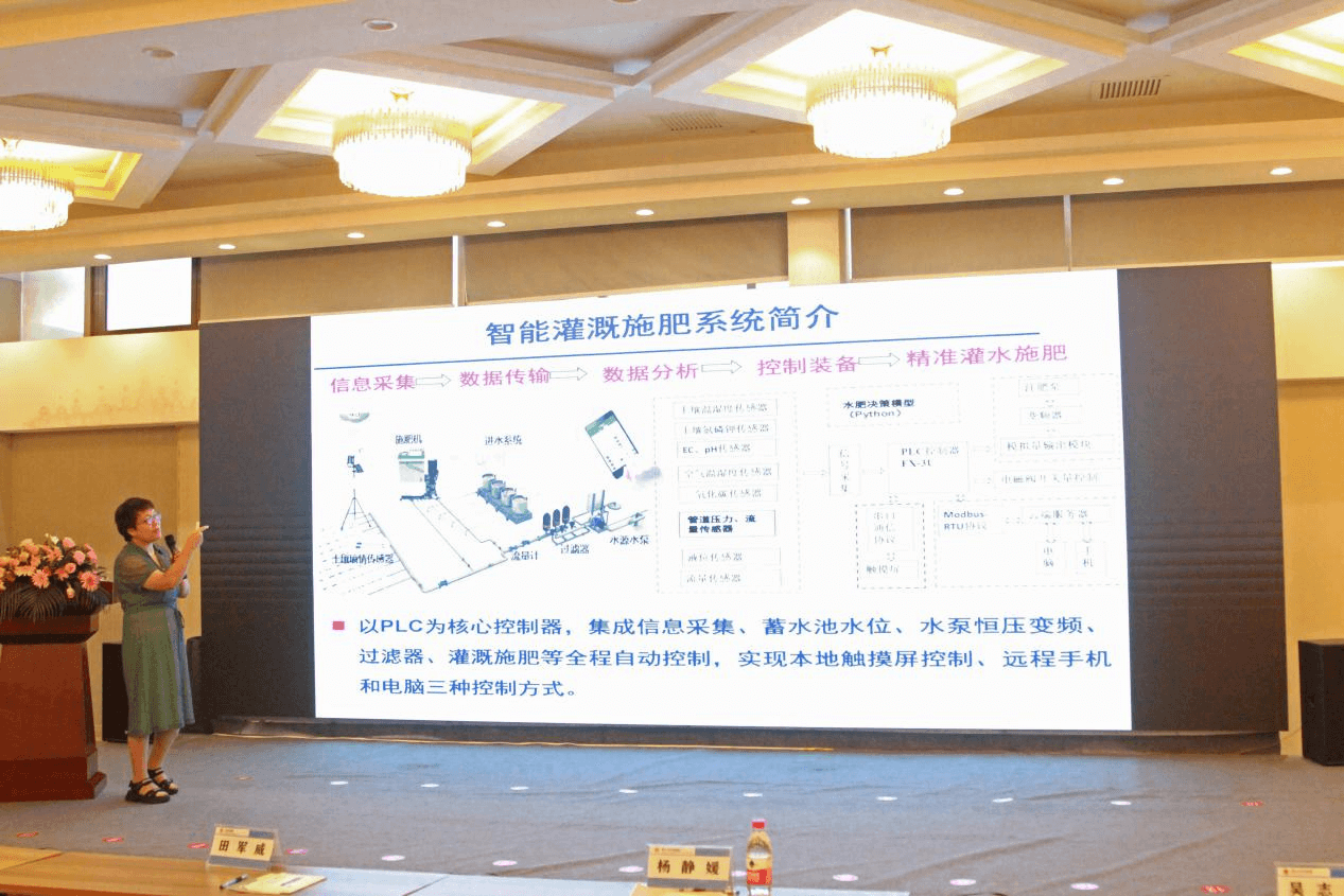 NG娱乐