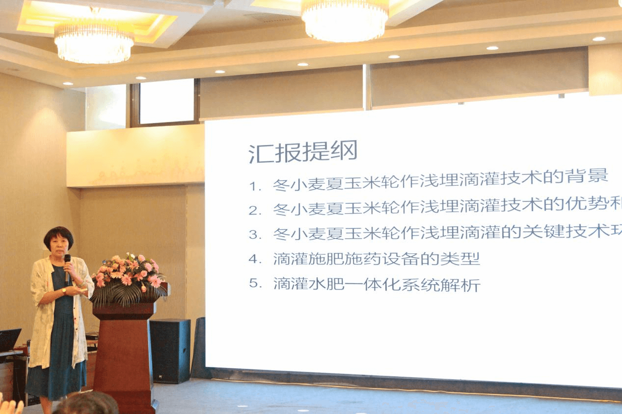 NG娱乐