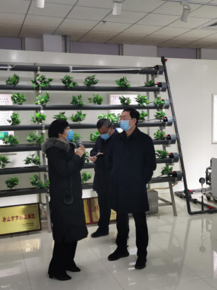 NG娱乐