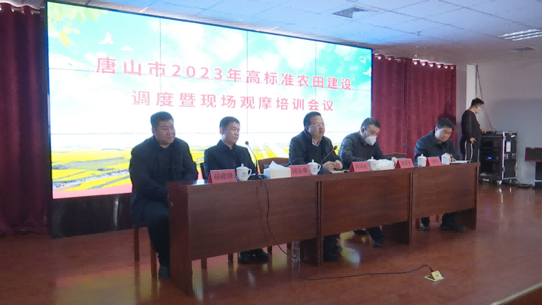 NG娱乐