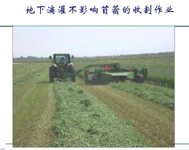 NG娱乐