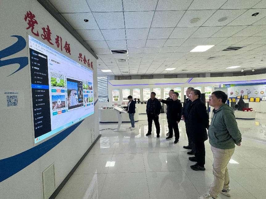 NG娱乐